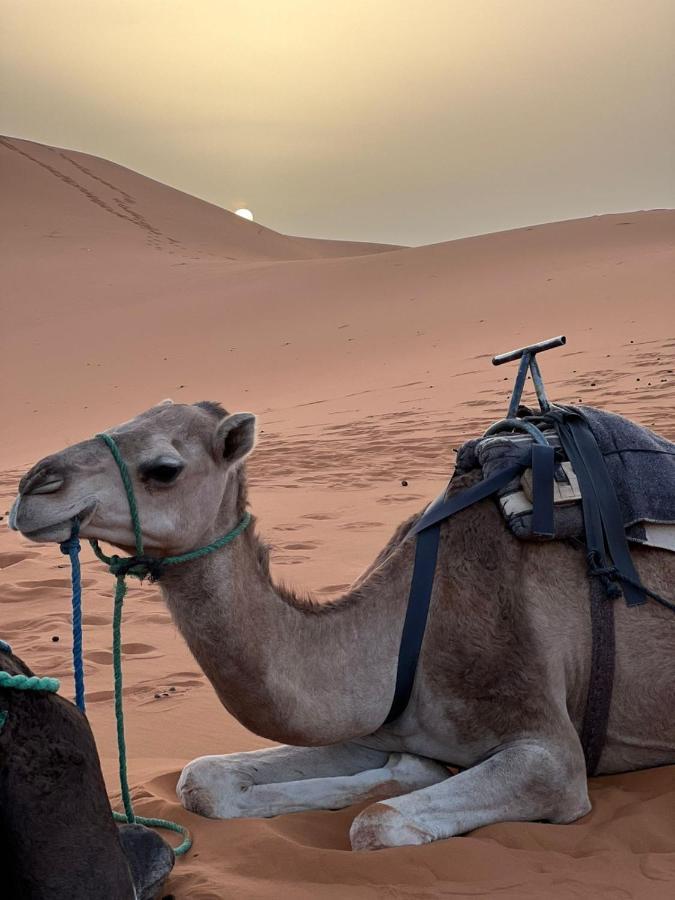 Riad Aicha & Camel Trekking Мерзуга Екстер'єр фото