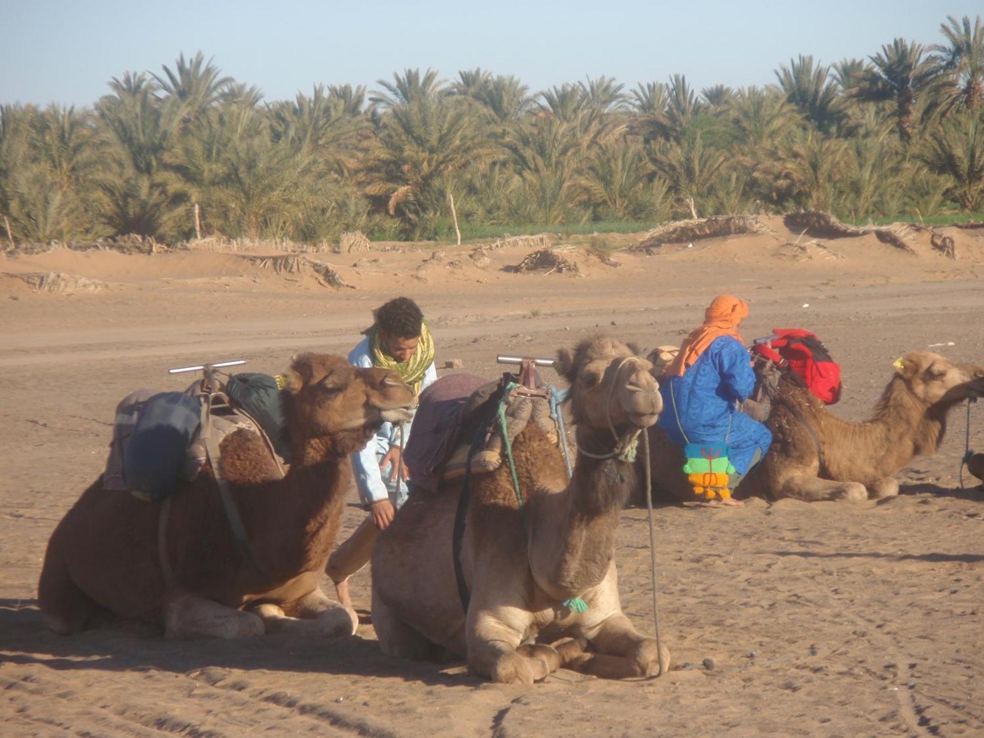 Riad Aicha & Camel Trekking Мерзуга Екстер'єр фото